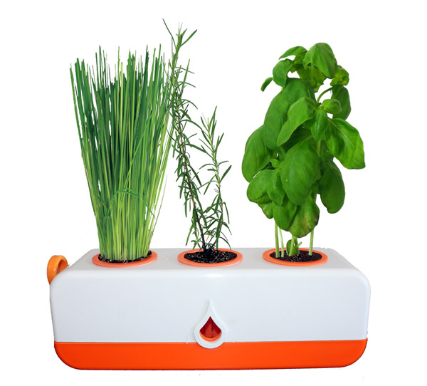 Indoor Hydroponic Systems - Easy Home Garden