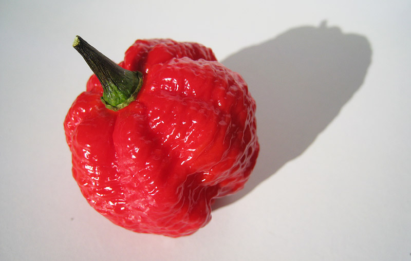 Top 10 Hottest Peppers in The World 2016