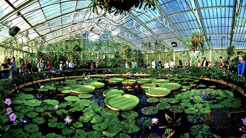 10 of the Most Amazing Indoor Gardens