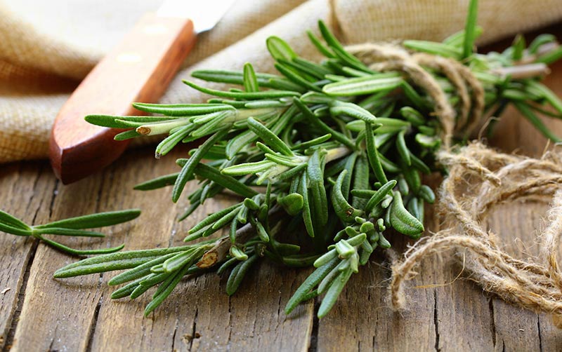 Gardening Guide to Fresh Herbs Year-Round