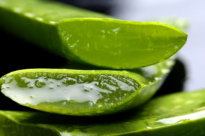 DIY Aloe Vera Face Wash for Daily Cleansing