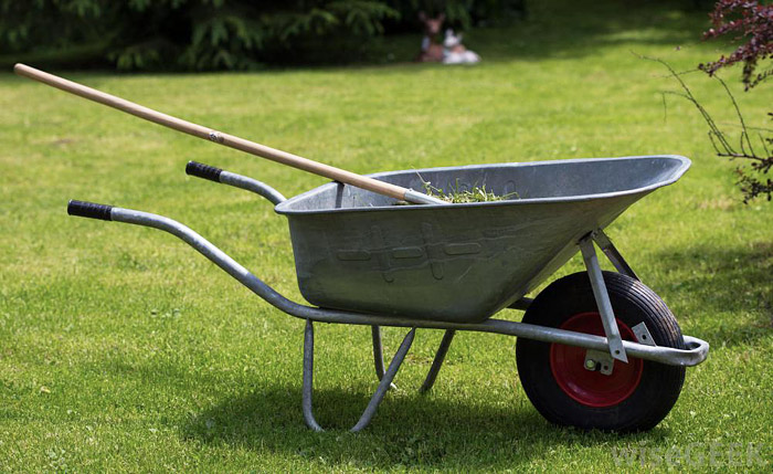 Gardening Tools Every Gardener Should Have 