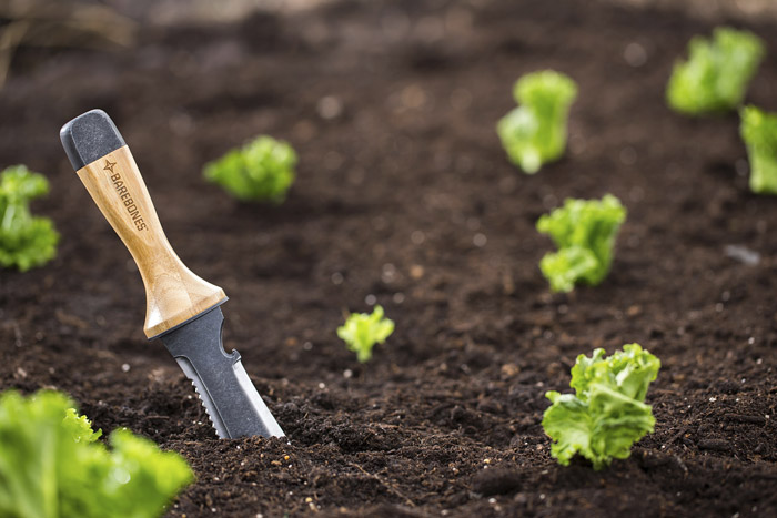 Gardening Tools Every Gardener Should Have 