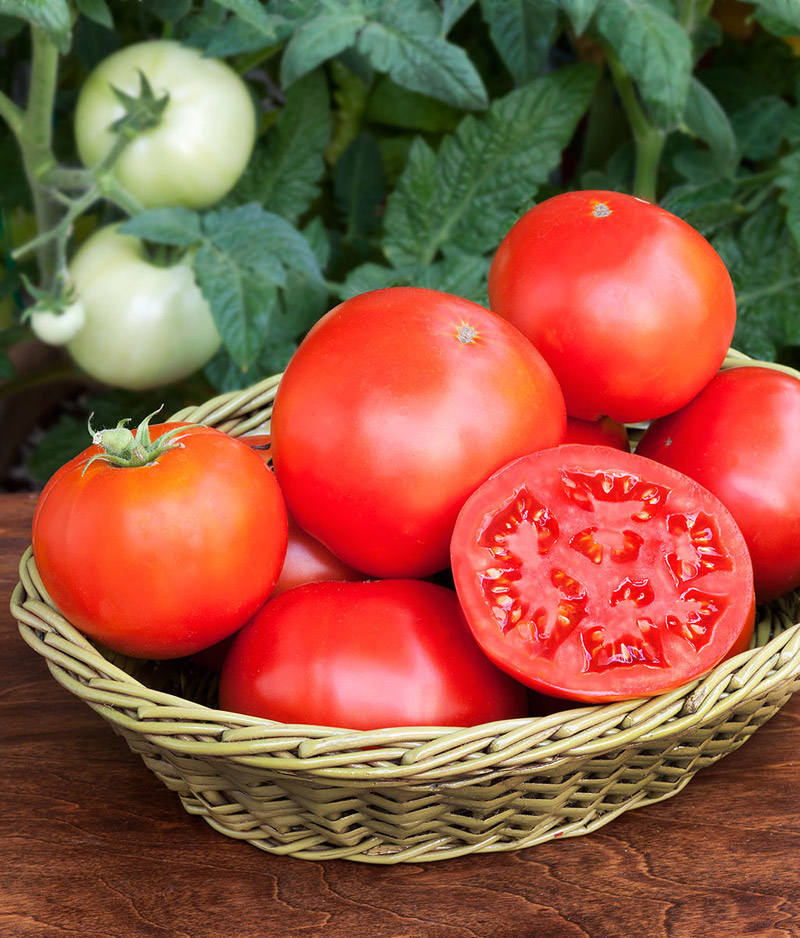 Health Benefits of Tomatoes