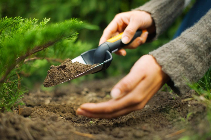 Gardening Tools Every Gardener Should Have 