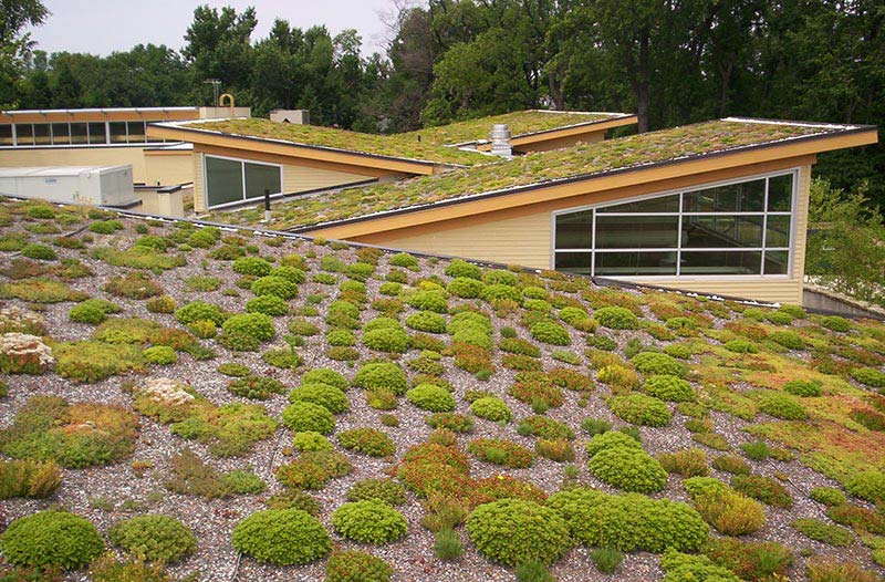 10 Best Roofing Materials for Warmer Climates