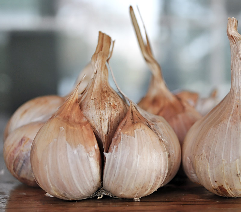 Garlic and Kidney Flush