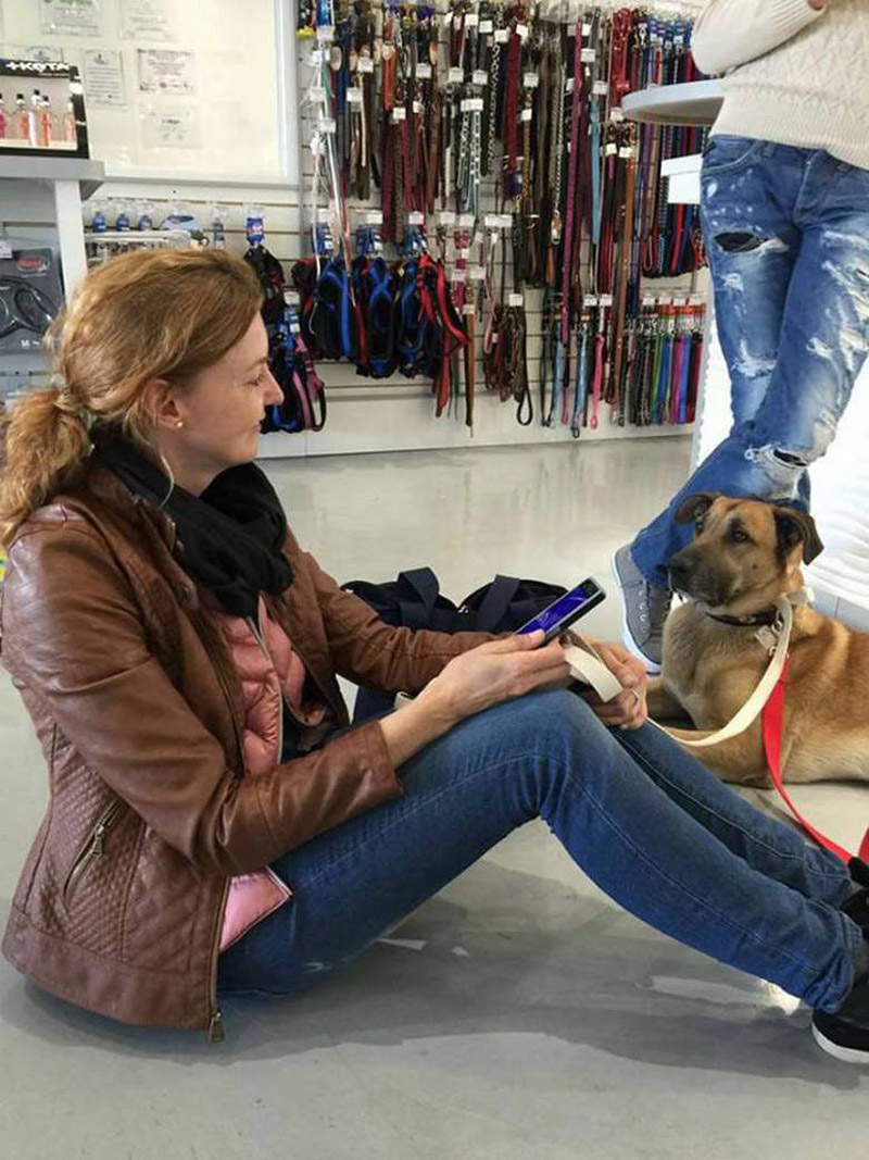 Flight attendant adopts Rubio, the dog who waitied for 6 months outside her hotel