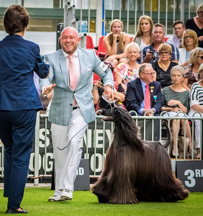 Afghan Hound Tea - Prettiest Dog In The World?