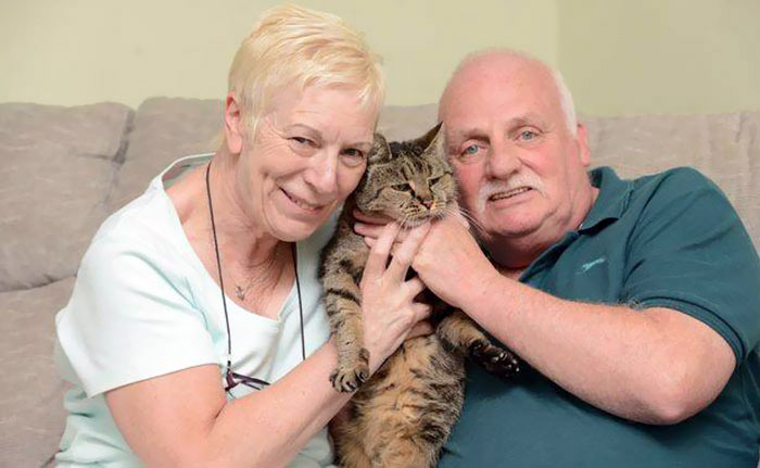 Nutmeg is the Oldest Living Cat in the World at 31