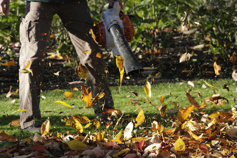 Prepare Your Lawn and Garden for Winter