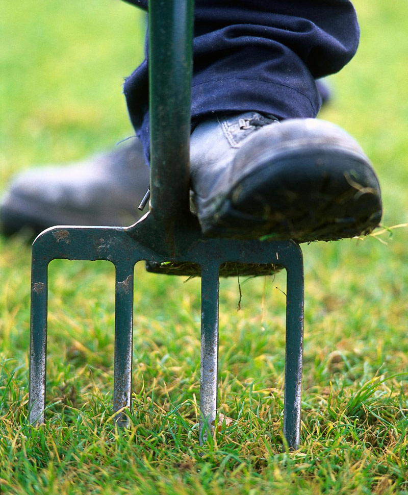 Prepare Your Lawn and Garden for Winter