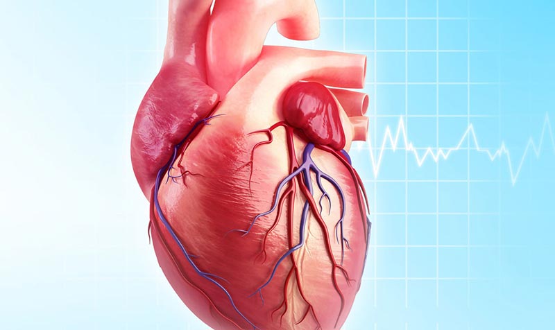 Can Extreme Exercise Damage Your Heart