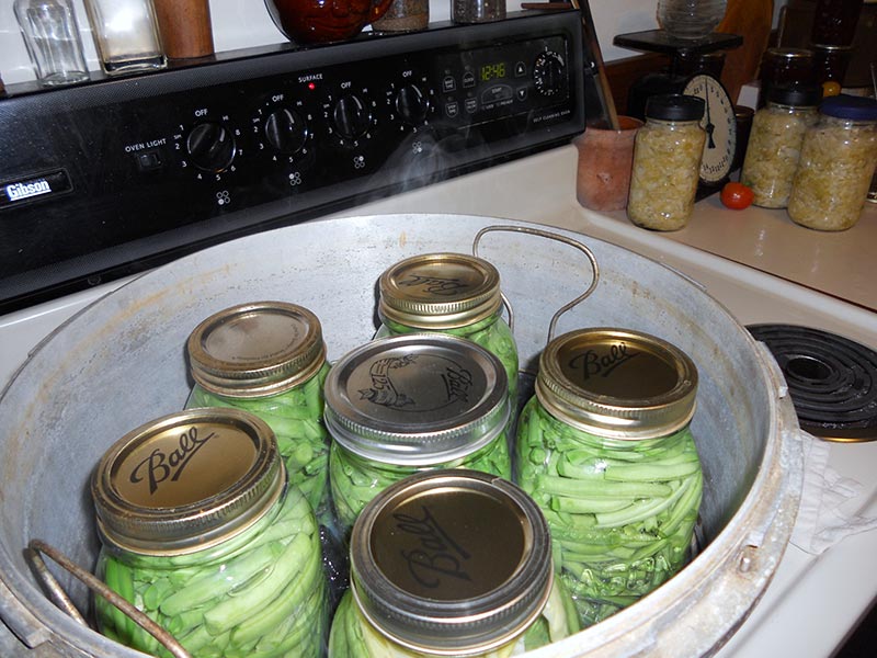 How to Can Vegetables Using Pressure Canning