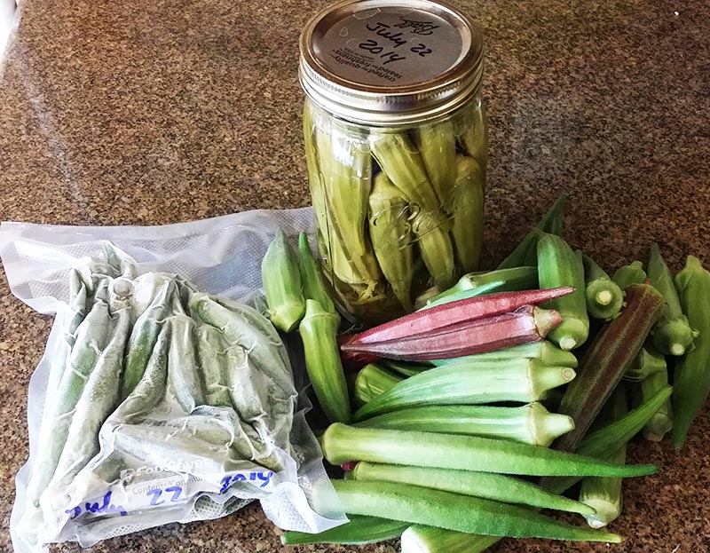 How to Harvest and Store Okra