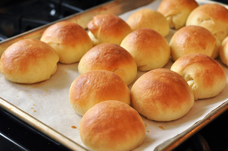 Thanksgiving Dinner Rolls Recipe