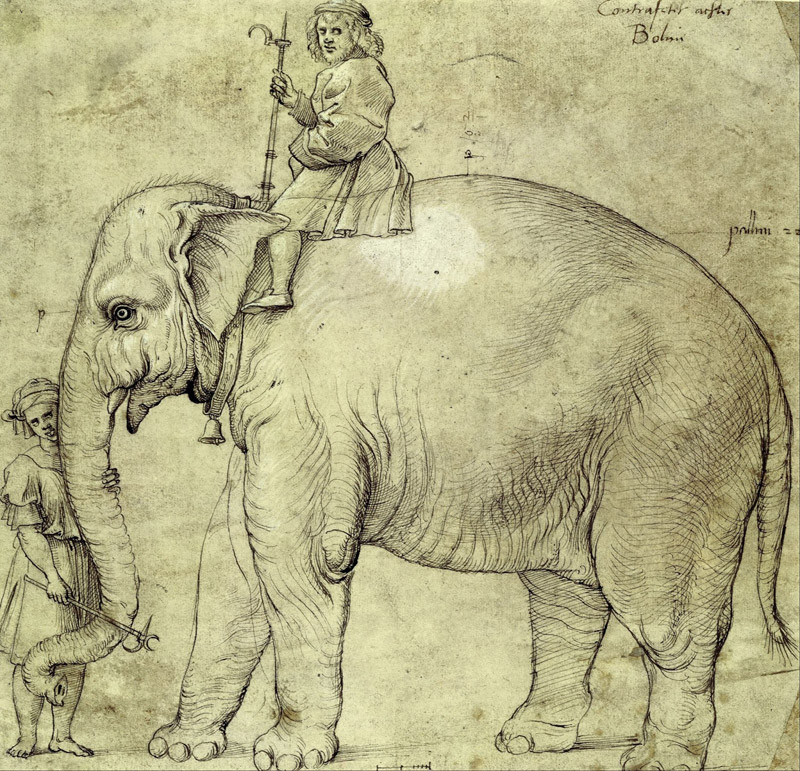 Why is an Elephant Buried Under the Vatican?