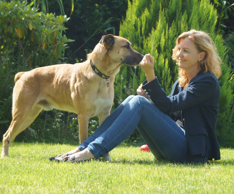 Flight attendant adopts Rubio, the dog who waitied for 6 months outside her hotel