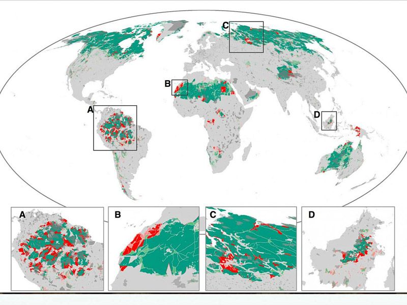 10% of Earth's wilderness is destroyed in just 25 years