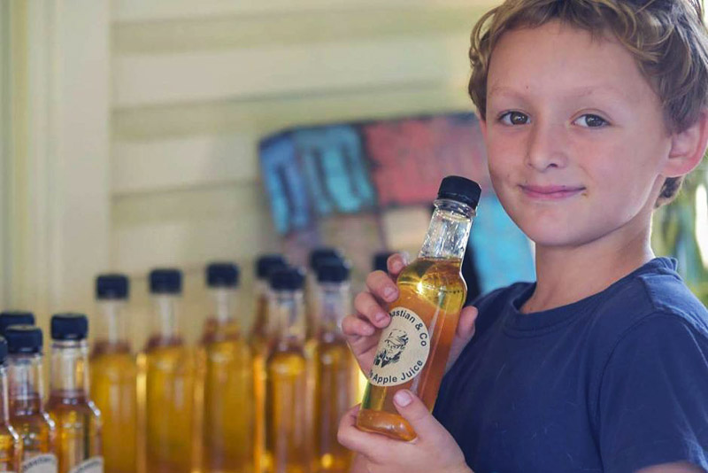 7-year-old boy buys pony with lemonade stand money