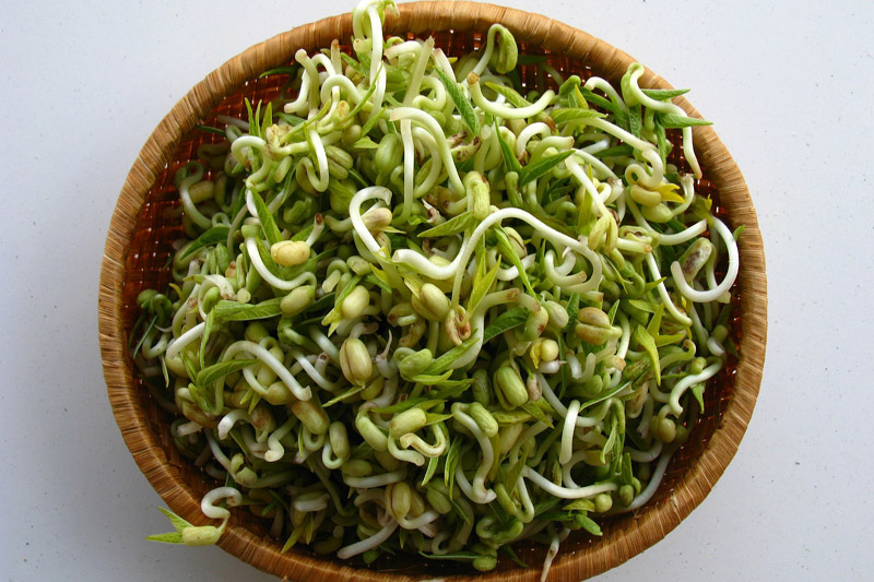 Healthy Diet - Why You Should Eat Sprouts