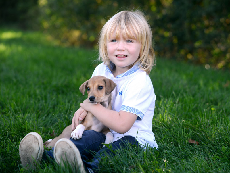 Dog Biting - Teaching Your Puppy to Not Bite