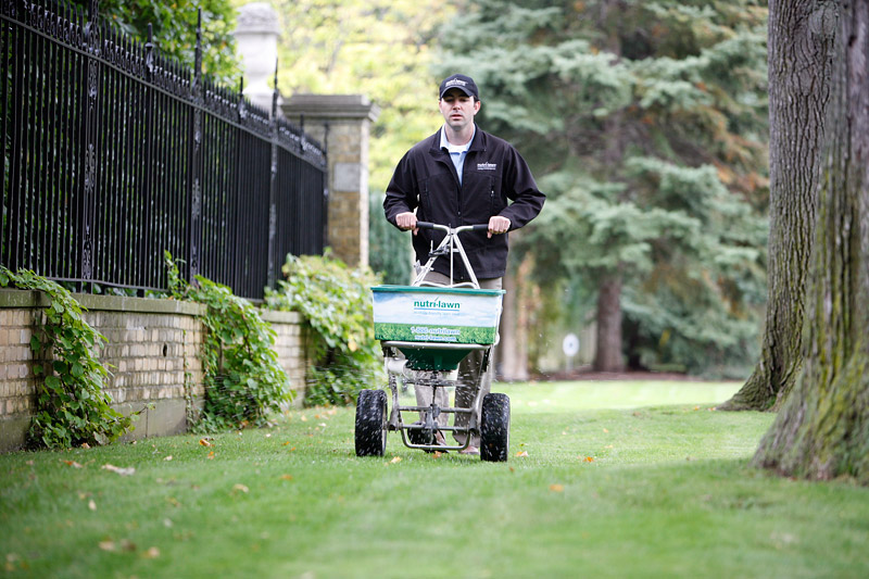 What You Need to Know About Lawn Food