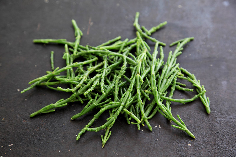 14 Vegetables You've Probably Never Heard Of