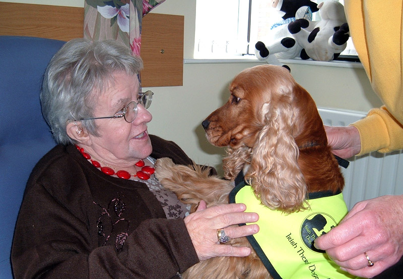 How Therapy Dogs Help Human Health