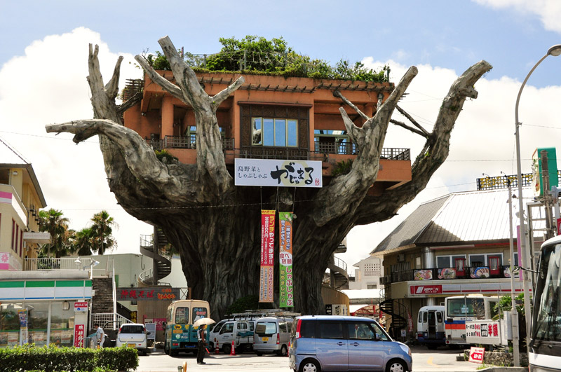 Naha Harbor Diner - Crazy Banyan Treehouse Cafe