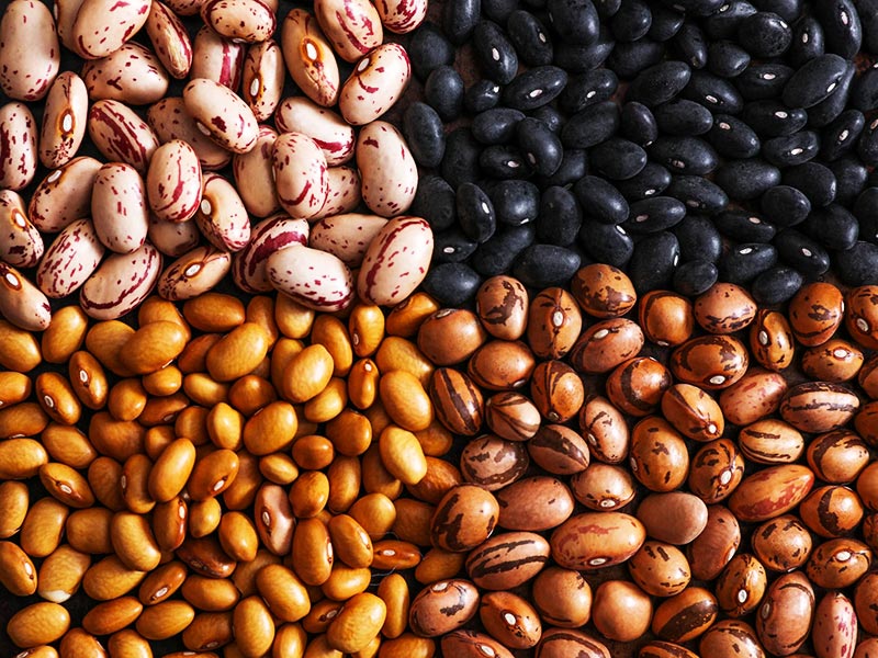 Beans Health Benefits and 5 Surprising Risks