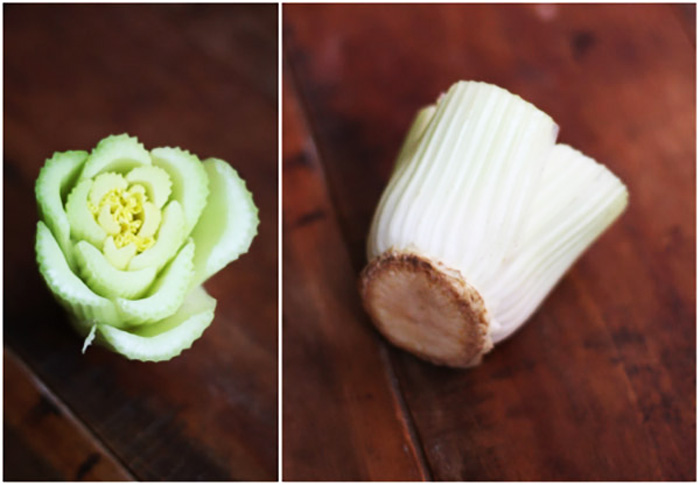 How To Regrow Celery Indoors