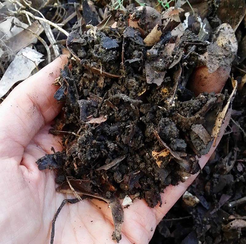 How to Know When Your Compost is Ready to Use