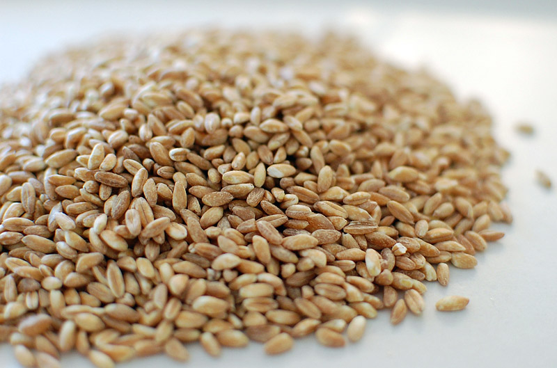 12 Ancient Grains You May Have Never Heard Of