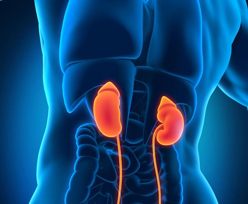 12 Symptoms of Kidney Disease You Shouldn’t Ignore
