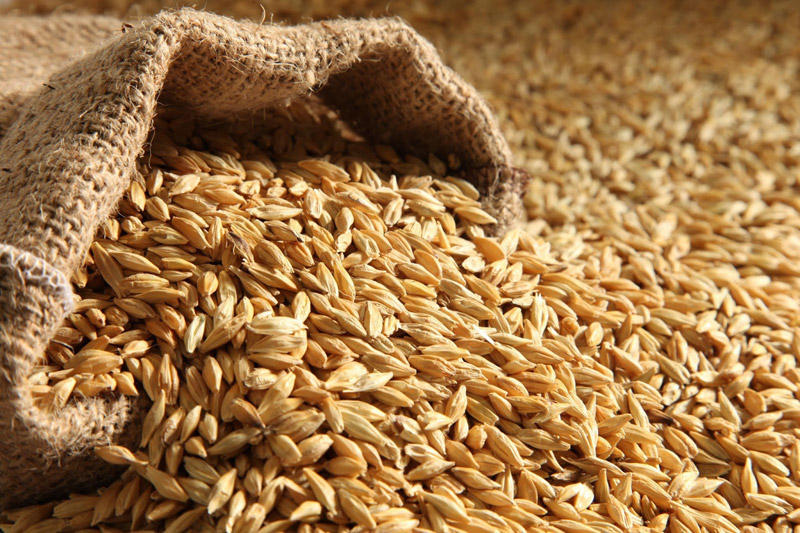 12 Ancient Grains You May Have Never Heard Of