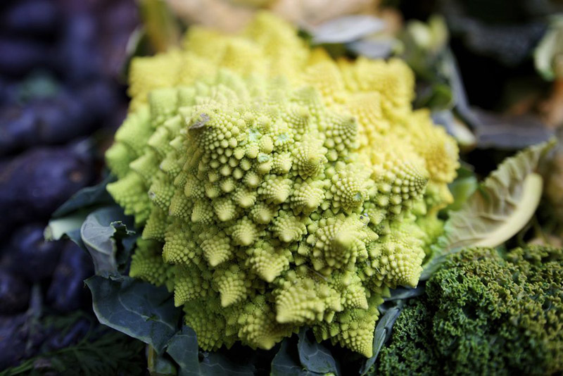 14 Vegetables You've Probably Never Heard Of