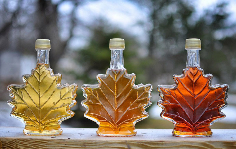 Everything You Need to Know About Maple Syrup