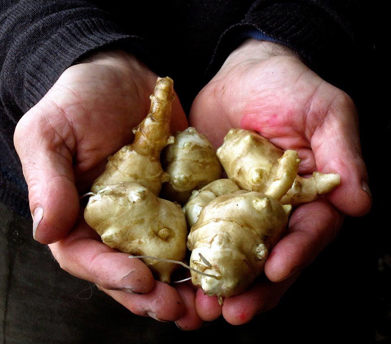 14 Vegetables You've Probably Never Heard Of