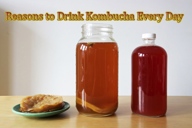 Reasons to Drink Kombucha Every Day and How To Make It Quiet Corner