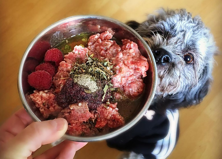 Building Balanced Diet for Your Dog