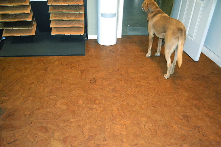 Best Flooring for Dogs