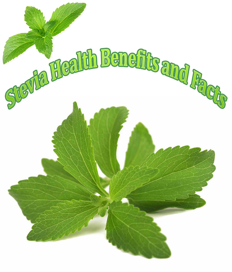 Stevia Health Benefits and Facts Quiet Corner