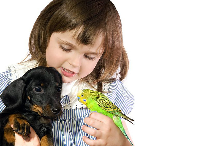 Is a Bird the Right Pet for Me?