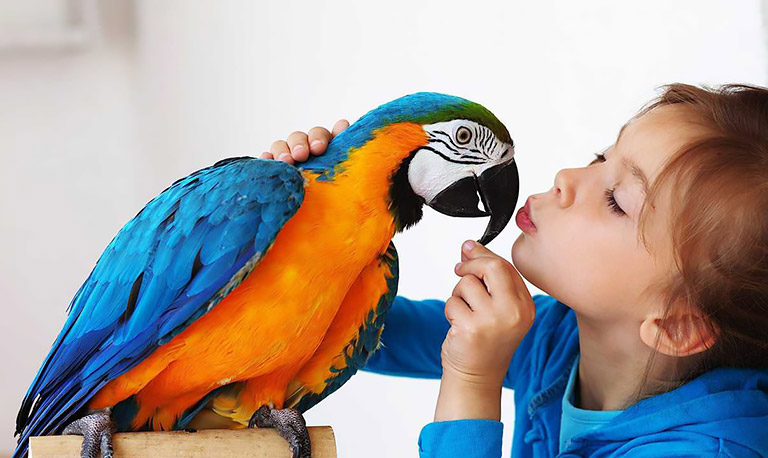 Is a Bird the Right Pet for Me?