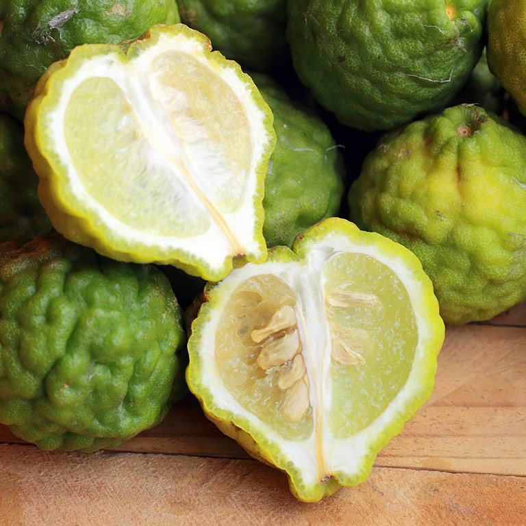 Bergamot Essential Oil – Health Benefits and Uses