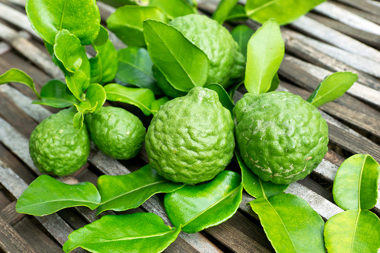 Bergamot Essential Oil – Health Benefits and Uses