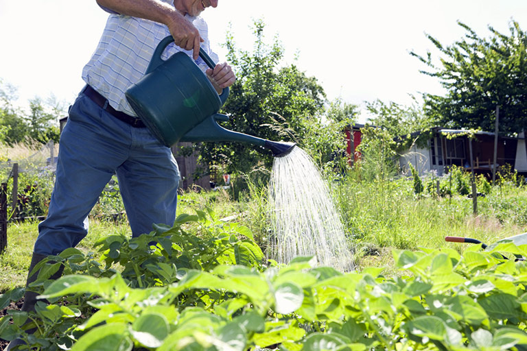 10 Most Common Gardening Myths Busted!