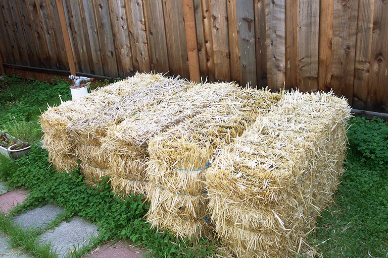 All You Need to Know About Straw Bale Gardening