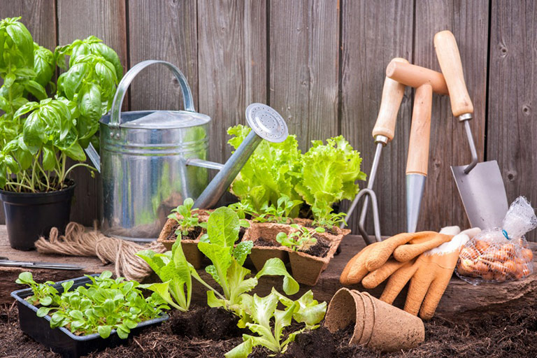 All You Need to Know About Straw Bale Gardening